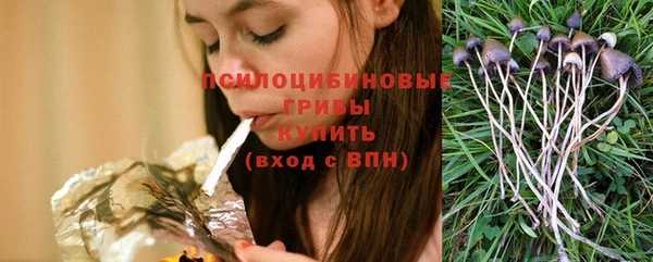 винт Армянск